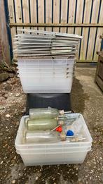 Laboratorium bakken, Dieren en Toebehoren, Minder dan 60 cm, Kooi, Minder dan 75 cm, Ophalen of Verzenden
