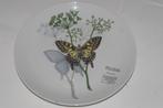 3 wandborden met vlinders op takken of bloem, Ophalen