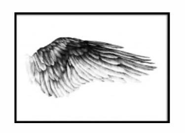 Desenio metalen lijst 70x100 cm + poster Ikaros, Ophalen, Metaal of Aluminium, Zo goed als nieuw, 75 cm of meer