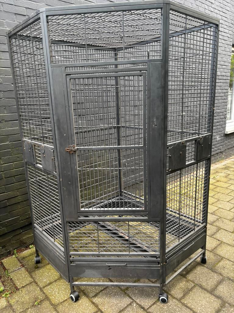 Grote papegaaienkooi hoekmodel, Dieren en Toebehoren, Ophalen, Gebruikt, Metaal, Vogelkooi