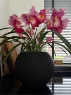 Fiori Stenen pot met kunst orchideeën, Ophalen, Binnen, Roze, Zo goed als nieuw