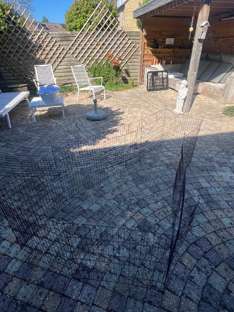 Ren, Dieren en Toebehoren, Ophalen, Konijn, 60 tot 90 cm, Zo goed als nieuw