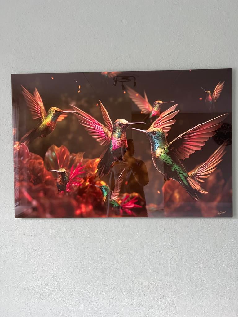 Kleurrijke Kolibries Kunstprint op Plexiglas, Ophalen