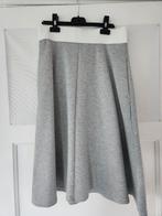 Rok van Vanilia, maat M, Kleding | Dames, Rokken, Maat 38/40 (M), Ophalen of Verzenden, Zo goed als nieuw, Grijs