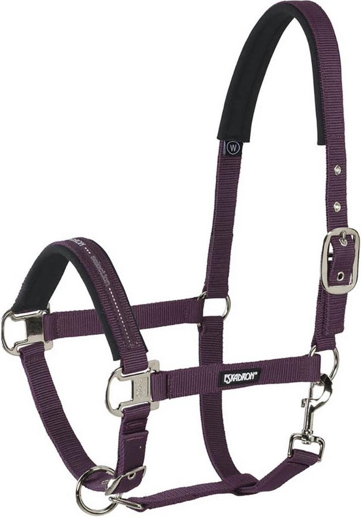 Eskadron halster PII, Ophalen of Verzenden, Zo goed als nieuw, Overige soorten