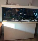 Juwel Rio 450 + helialux spectrum 1500, Ophalen, Gebruikt, Leeg aquarium