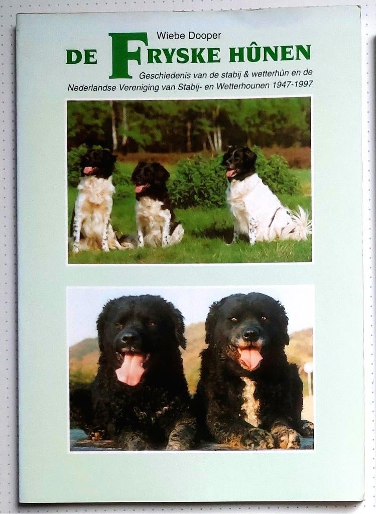 De Fryske Hûnen, Ophalen of Verzenden, Gelezen, Wiebe Dooper
