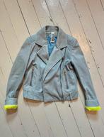 Drykorn leren jack - blauw/lime geel (Maat S=2 / 36), Ophalen of Verzenden, Zo goed als nieuw, Maat 36 (S), Blauw