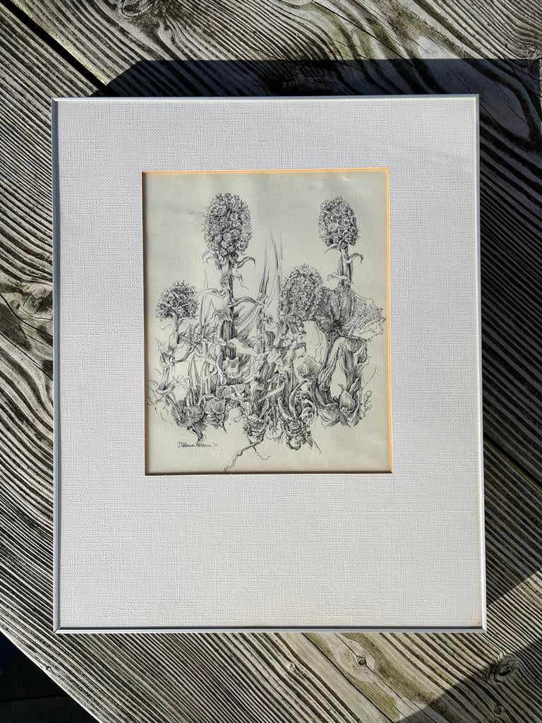 Vintage pentekening van planten, J. Peltersen Postema, 1972, Ophalen of Verzenden