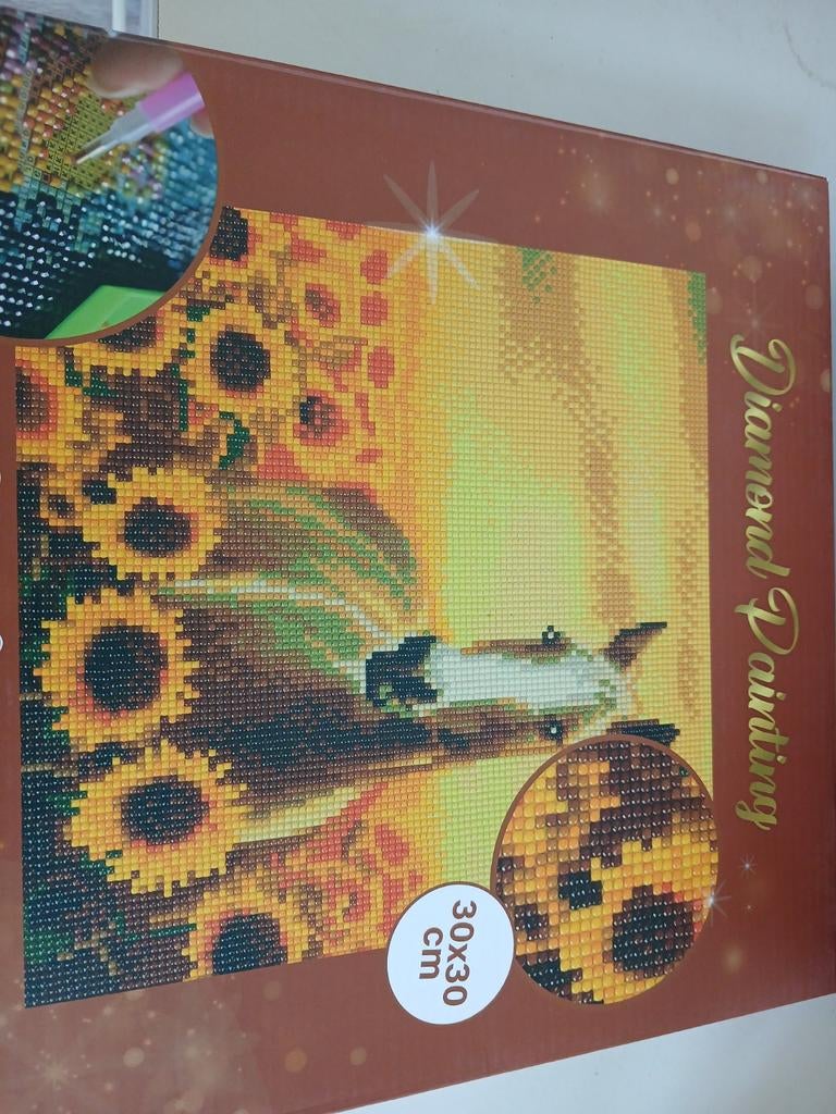 Diamond painting, Ophalen of Verzenden, Zo goed als nieuw, Muziek vocaal