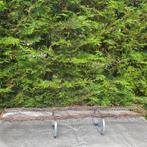 Geraamte smeedijzer voor bloemstuk, Ophalen of Verzenden, Nieuw