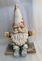 David de kabouter / Rien Poortvliet, Ophalen of Verzenden, Gebruikt, Overige typen