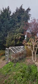 Kas, gratis afhalen-zelf afbreken en demonteren, Ophalen of Verzenden, Halfschaduw, Overige soorten, 100 tot 250 cm