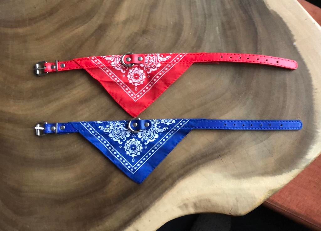 Hondenhalsband met zakdoek rood en blauw, Ophalen of Verzenden, Nieuw