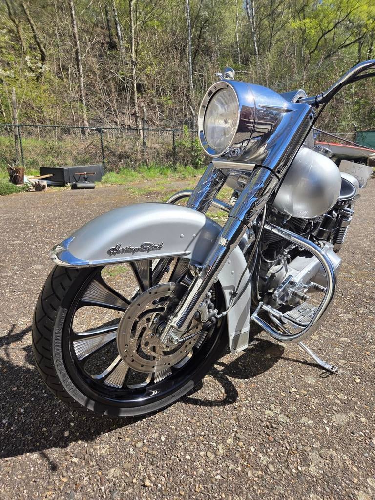 Harley  Shovelhead, Particulier