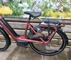 gazelle avignon hmb C8 53 cm bosch plus 625 wh, 51 tot 55 cm, Ophalen, Zo goed als nieuw, Gazelle