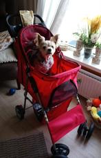 Hondenbuggy, Dieren en Toebehoren, Ophalen