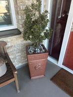 Grote plantenbak met kunstplant (gratis af te halen), Ophalen, Overige materialen, Gebruikt, Vierkant