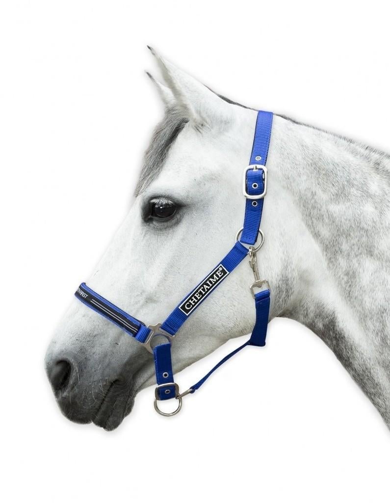Chetaime Safty-First Halster Cob, Dieren en Toebehoren, Maasbracht, Ophalen of Verzenden, Gersalsport@home.nl, Chetaime