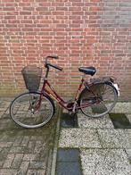 Batavus Piazza damesfiets met mand - Goede staat, Ophalen, Batavus, 50 tot 53 cm, Gebruikt