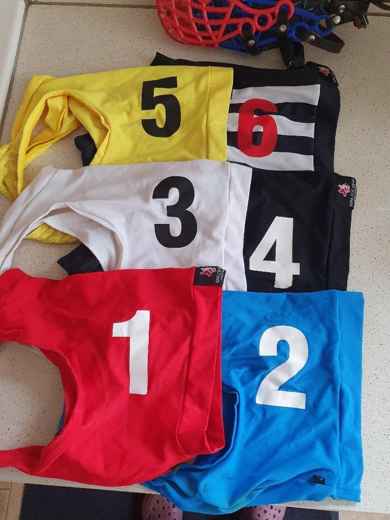 Whippet ren-korf en rendekken, Ophalen of Verzenden, Zo goed als nieuw