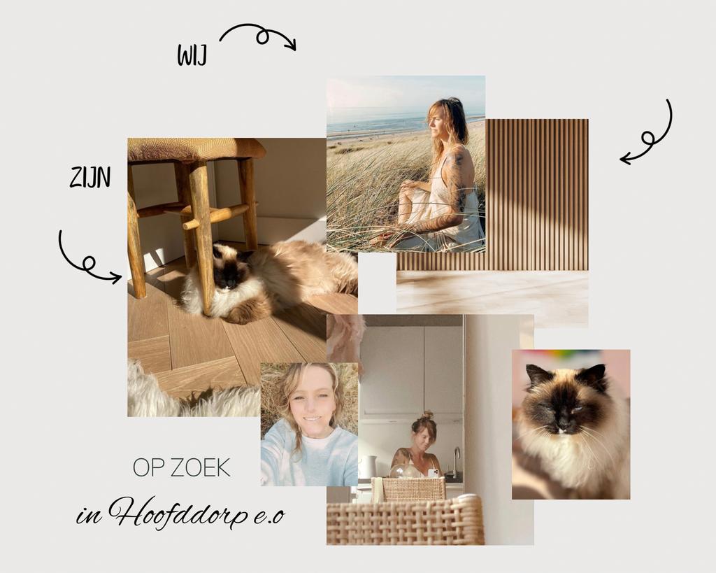 KAMER / STUDIO GEZOCHT HAARLEM, HOOFDDORP, AMSTERDAM E.O, Huizen en Kamers, Op zoek naar een kamer