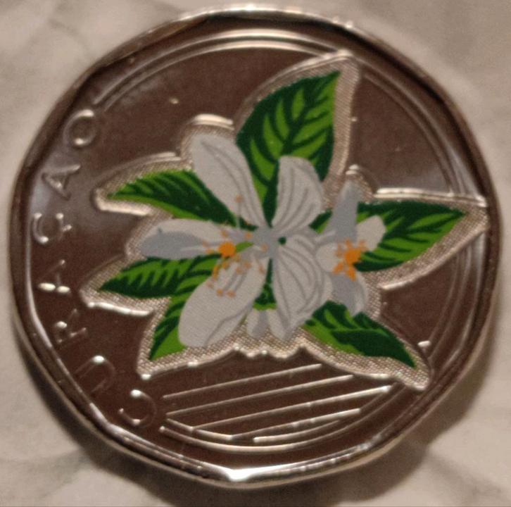 Curaçao 50 Cent 2025 Oranjebloesem met kleur UNC, Postzegels en Munten, Munten | Amerika, Losse munt, Noord-Amerika, Ophalen of Verzenden