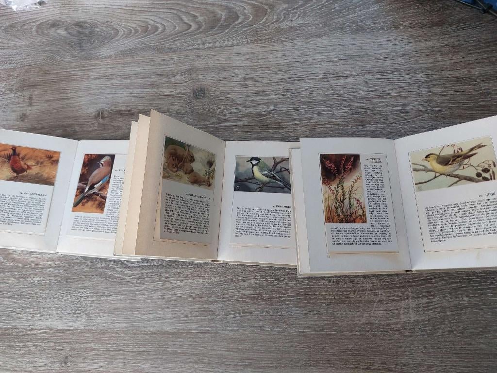 3x zakalbum Hoge Veluwe deel 1 2 en 3, Boeken, Ophalen of Verzenden, Gelezen, Plaatjesalbum