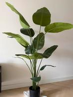 Strelitzia Nicolai kunstplant 175cm, Ophalen, Volledige schaduw, Palm, 150 tot 200 cm