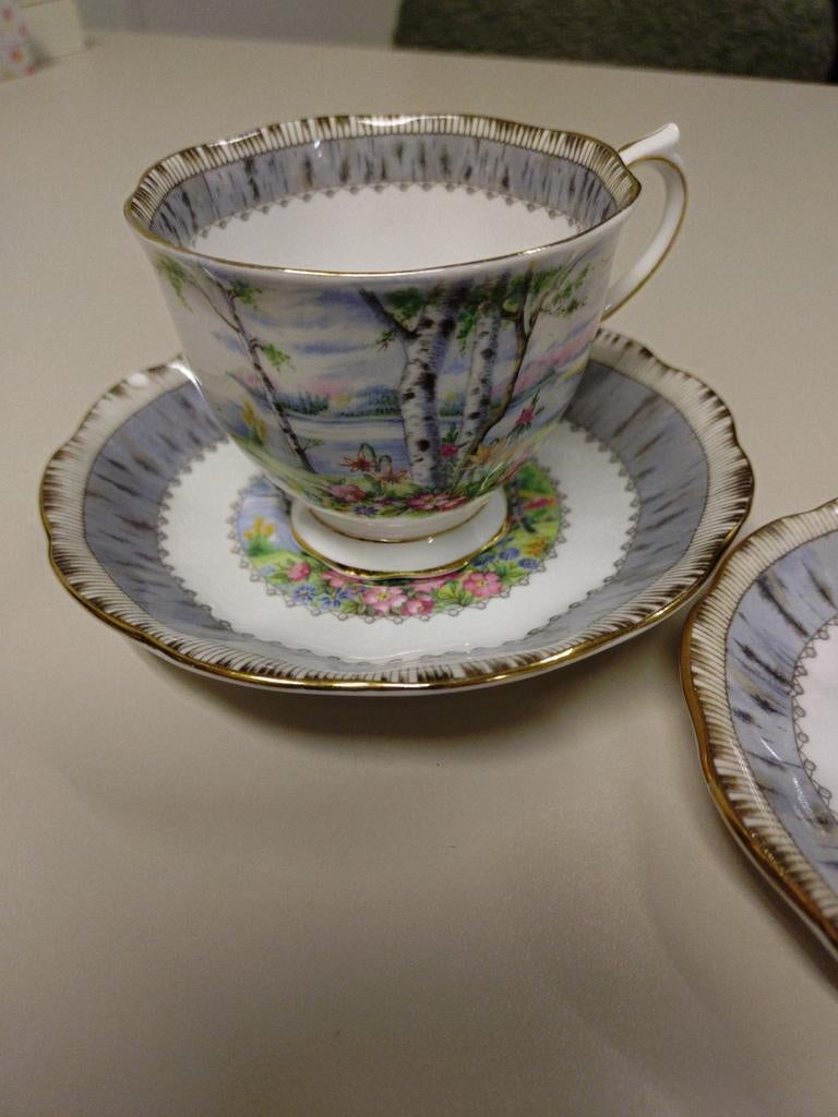 Dames  kop en  schotel ROYAL ALBERT SILVER BIRD, Ophalen of Verzenden