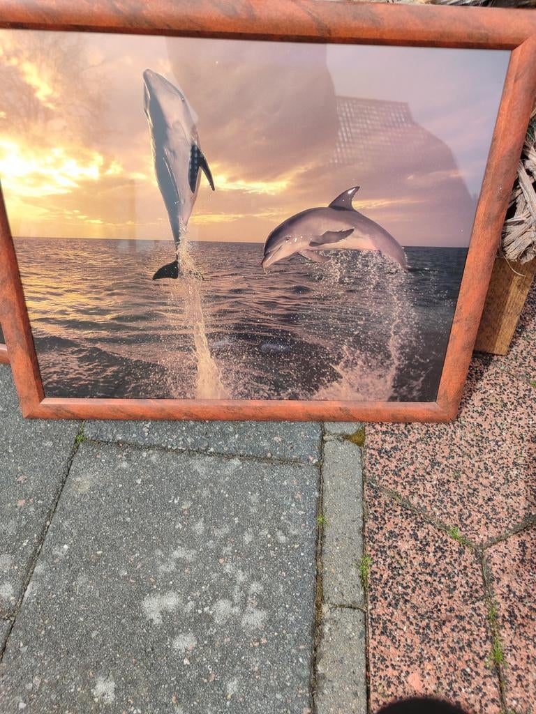 Schilderijen, Ophalen, Zo goed als nieuw, Hout, Minder dan 50 cm