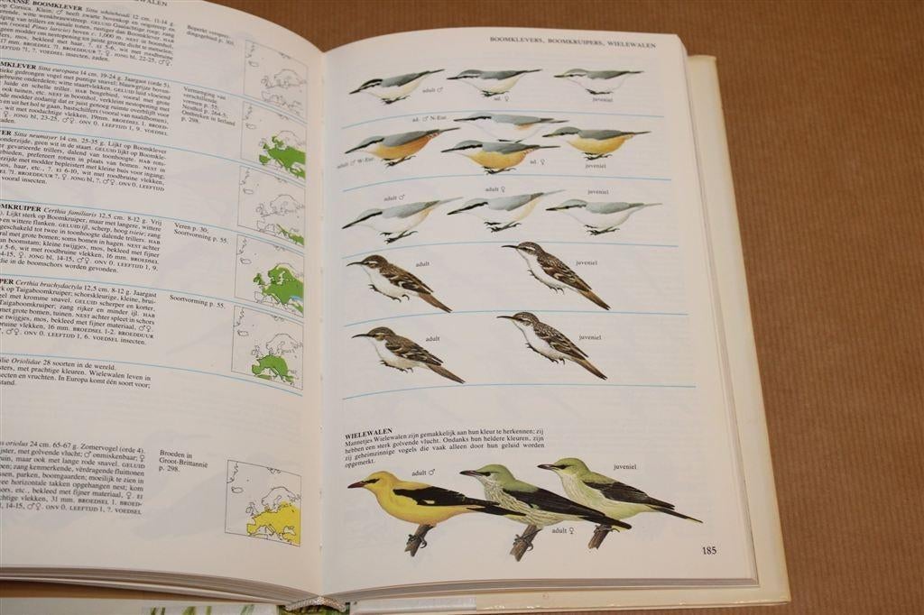 Vogels van Europa — Perrins & Attenborough Natuurgids 320p, Ophalen of Verzenden, Gelezen, Vogels