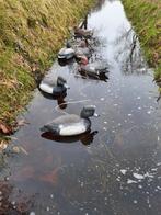Siereenden / lokeenden voor in de vijver, Ophalen, Zo goed als nieuw