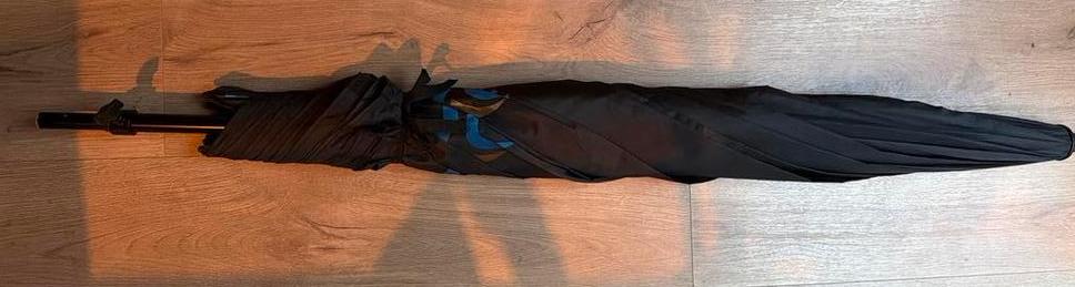 Handige vis paraplu/parasol - Bescherming tegen zon en regen, Ophalen, Zo goed als nieuw, Overige typen