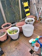 Kunststof planten container met en zonder planten, Ophalen of Verzenden, Rond, Kunststof, Minder dan 30 cm