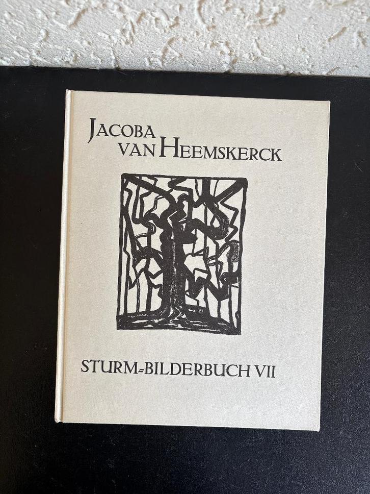 Jacoba van Heemskerck - Sturm-Bilderbuch VII - 1981, Boeken, Kunst en Cultuur | Beeldend, Gelezen, Schilder- en Tekenkunst, Ophalen of Verzenden