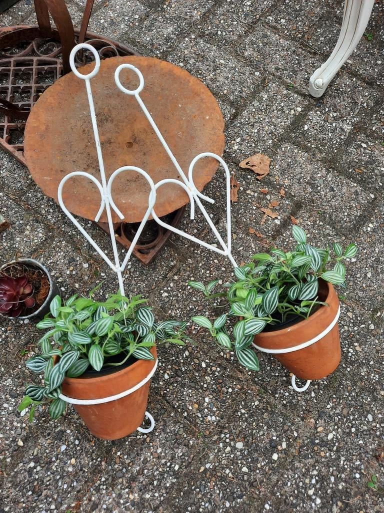 Plantenhangers 2 sts inclusief. Kunstplanten. Zelf ophalen i, Ophalen of Verzenden, Zo goed als nieuw, Rond, 30 tot 60 cm