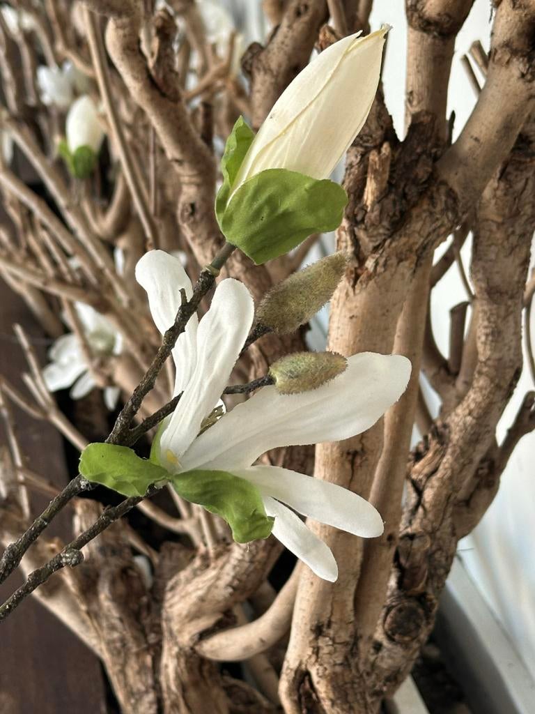 Decoratieve zijden bloemen en takken, Ophalen, Zo goed als nieuw, Binnen