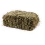 Gezocht: Boer voor hooi en stro voor konijnen, Dieren en Toebehoren, Ophalen