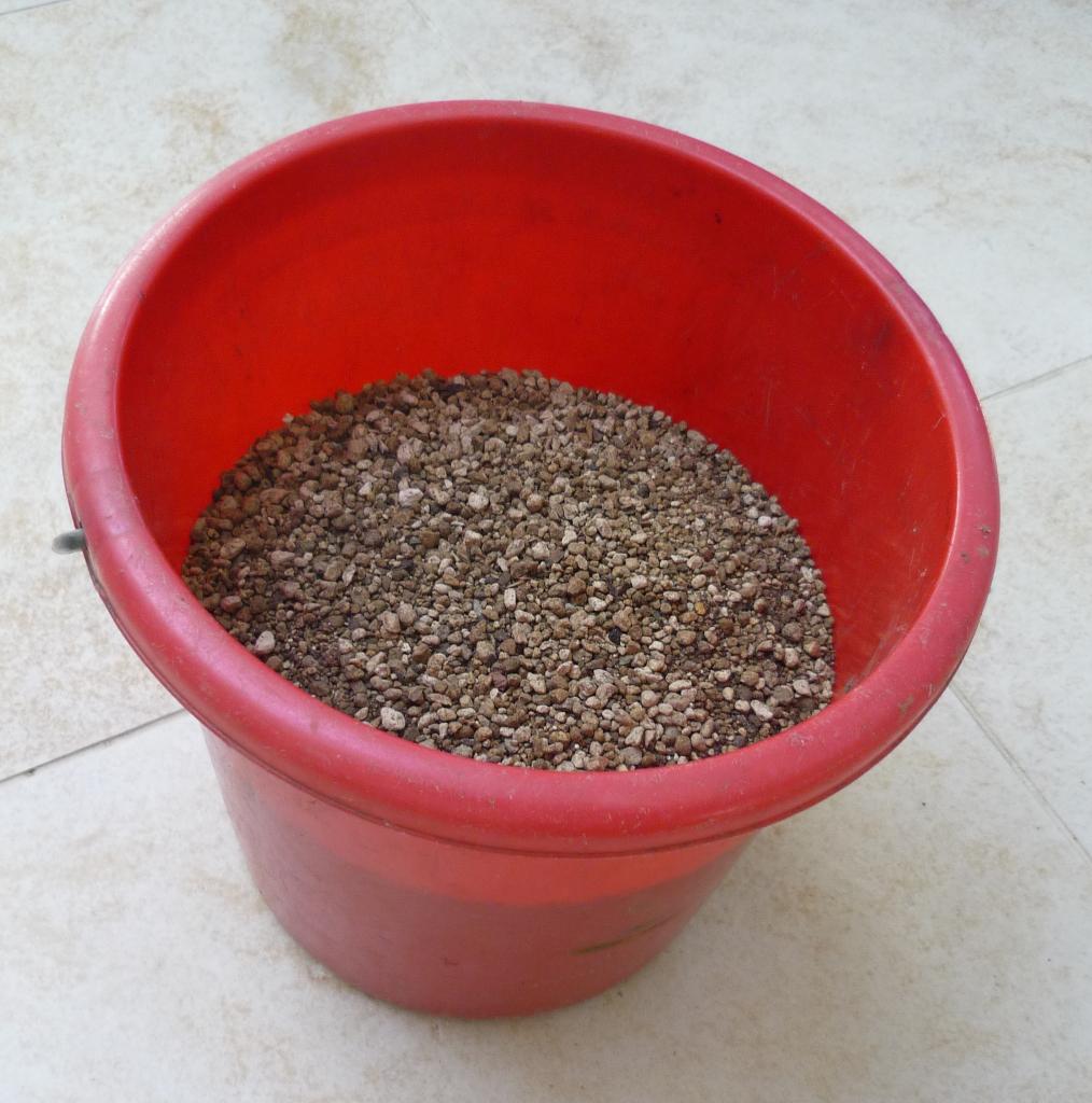 cactus - bims - substraat, Verzenden, Cactus, Volle zon, Minder dan 100 cm