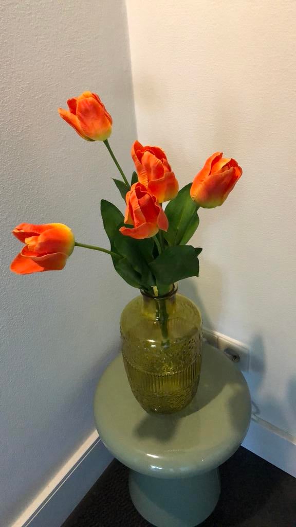 Tulpen, Ophalen of Verzenden, Zo goed als nieuw