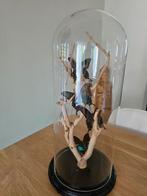 Vlinderstolp, Ophalen, Gebruikt