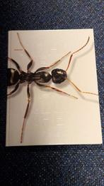 MOBILITEIT  - Grafisch Nederland 2003, Ophalen of Verzenden, Zo goed als nieuw