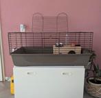 Cavia/konijnen kooi met toebehoren, Ophalen of Verzenden, Gebruikt, Kooi, Konijn
