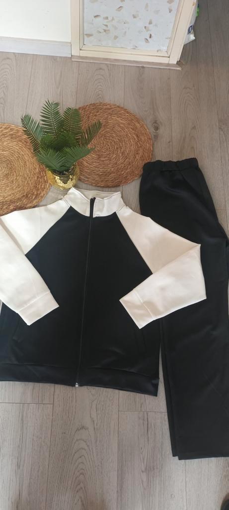 Stijlvol Zwart-Wit Trainingspak, Kleding | Dames, Overige Dameskleding, Nieuw, Ophalen of Verzenden