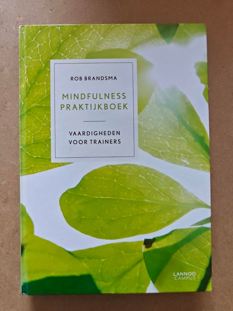 Mindfulness Praktijkboek - Rob Brandsma, Boeken, Meditatie of Yoga, Rob Brandsma, Ophalen of Verzenden, Zo goed als nieuw