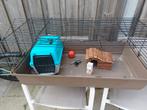 Cavia kooi met toebehoren, Kooi, Gebruikt, Cavia, 75 tot 110 cm