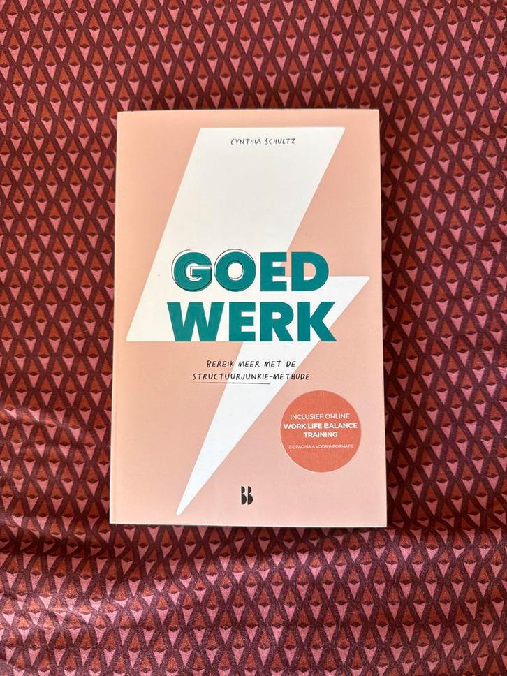 Goed Werk - Cynthia Schultz: Bereik meer structuur!, Boeken, Advies, Hulp en Training, Zo goed als nieuw, Ophalen of Verzenden