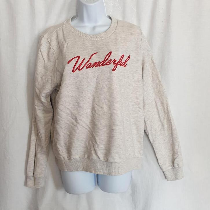 Leuke grijze dames trui. Mt L. Merk WE, Kleding | Dames, Truien en Vesten, Zo goed als nieuw, Maat 42/44 (L), Grijs, Ophalen of Verzenden