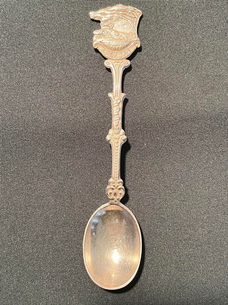 dividivi Tree Curacao., Antiek en Kunst, Ophalen of Verzenden